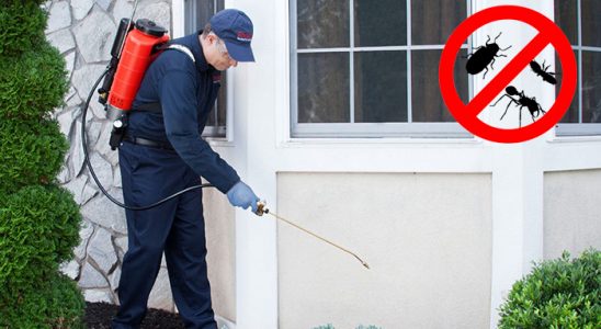 Didim Karınca İlaçlama böcek ilaçlama ve haşere kontrolü — ilaclama-tr.com